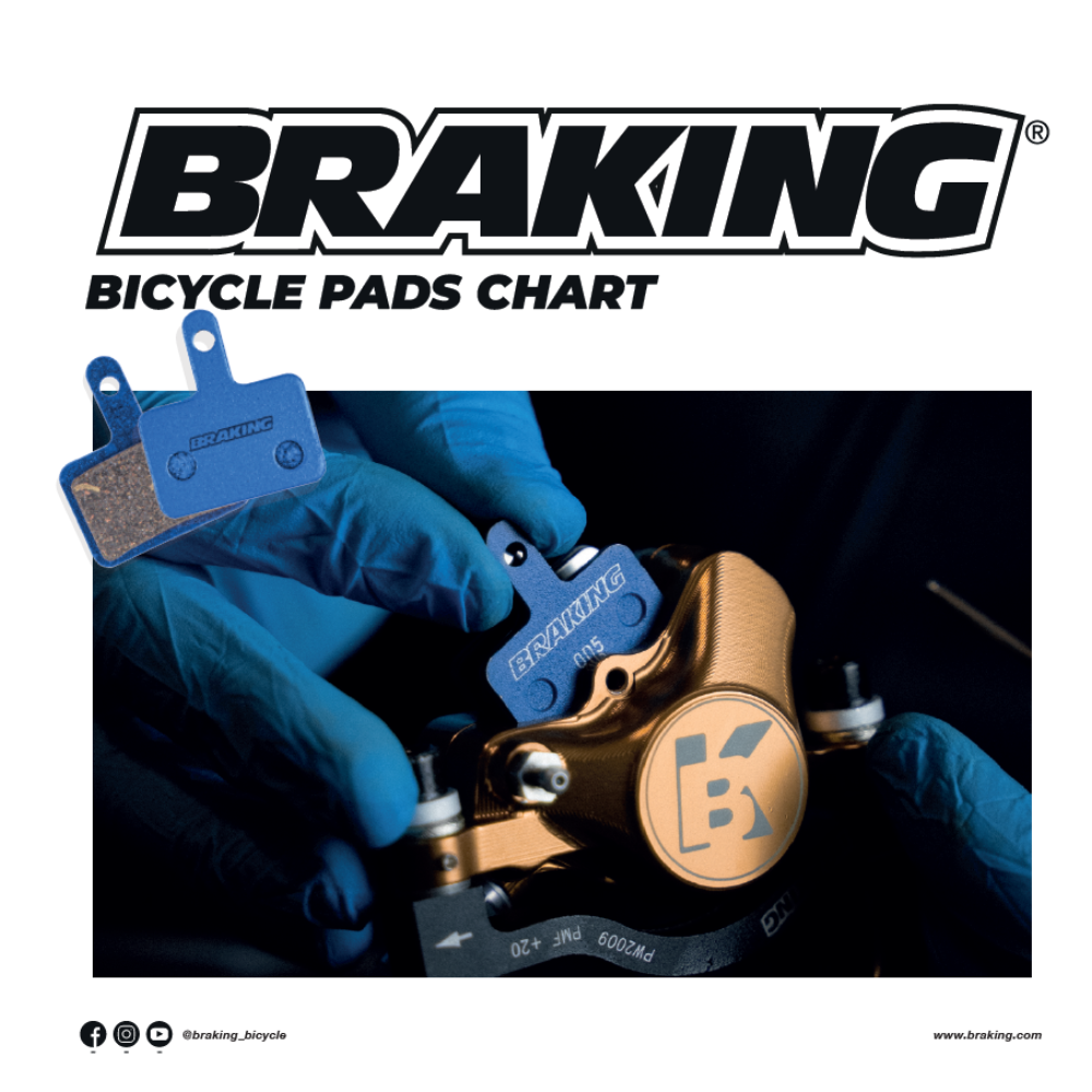 catalogo pastiglie bike